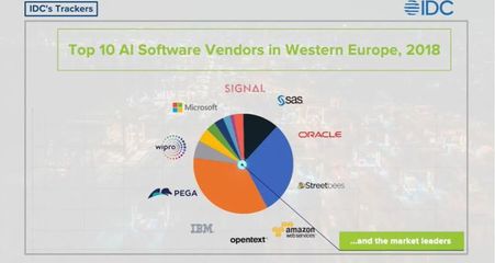2025年美國(guó)人工智能支出翻倍 軟件應(yīng)用開(kāi)發(fā)引領(lǐng)變革